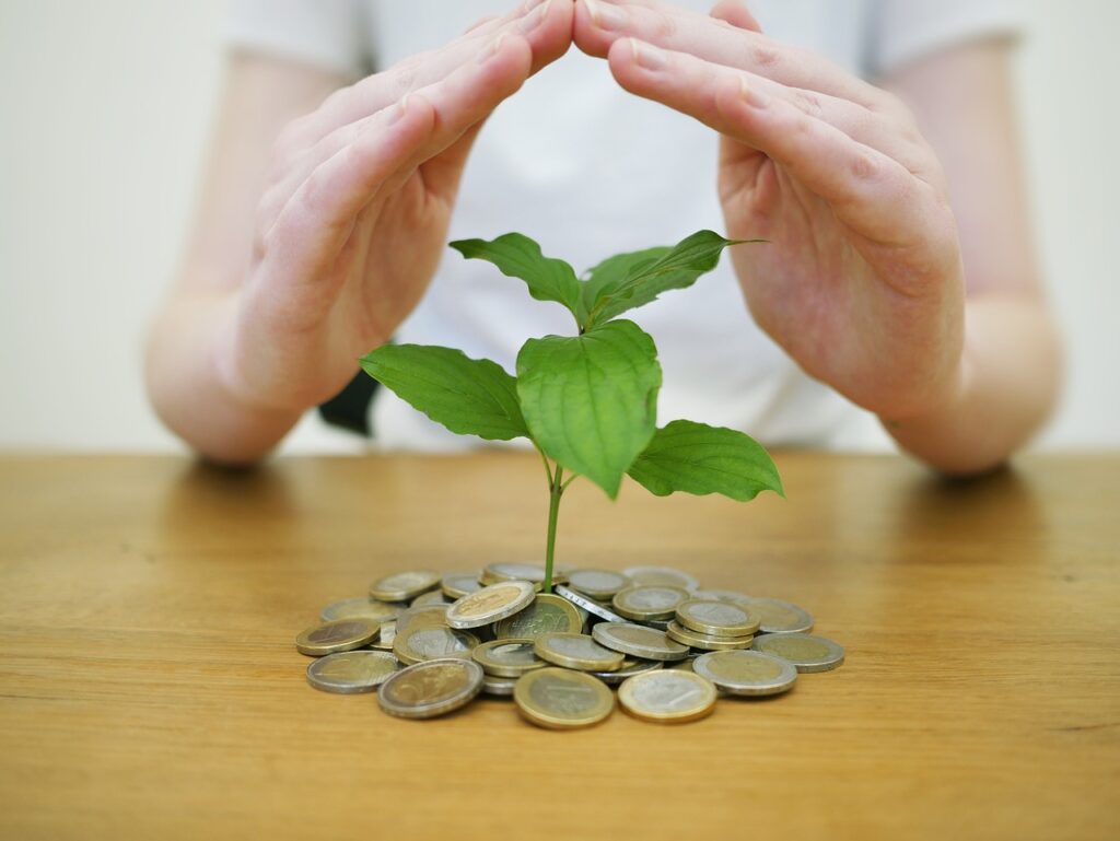 the wealthy affiliate
